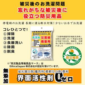 クリックポスト 4個まで送料200円 洗剤 多...の詳細画像1