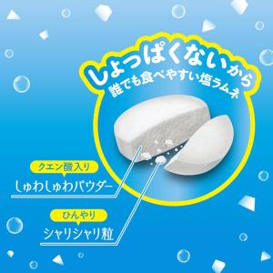 夏季限定 しょっぱくない 塩ラムネ しおまる ...の詳細画像2