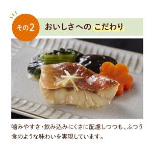 冷凍惣菜 【Bセット】 食楽膳 プラス 21食...の詳細画像2