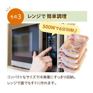 冷凍惣菜 【Bセット】 食楽膳 プラス 21食...の詳細画像3