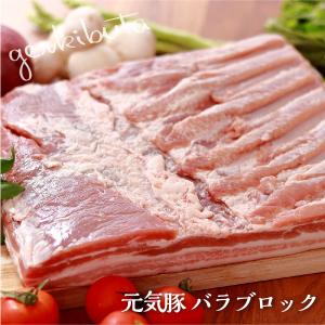 豚肉ブロック 豚バラ肉　元気豚バラブロック 不定貫(2.5kg以上)｜genkibuta