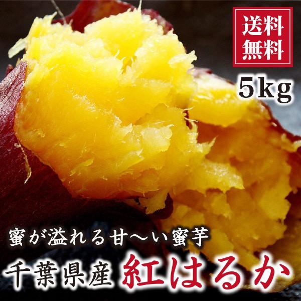 【送料込み】田中さん家のサツマイモ『紅はるか』（べにはるか） 5kg
