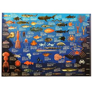 深海魚 図鑑の商品一覧 通販 Yahoo ショッピング
