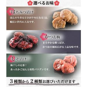 つぶれ梅 梅干し 紀州 南高梅 800g はち...の詳細画像2