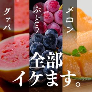DH FOODS タイ二ン風千リソルト 60g...の詳細画像3