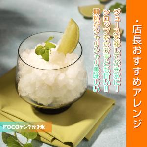 FOCOココナツジュース(缶)520ml / ...の詳細画像5