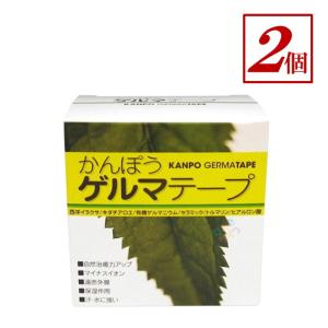 かんぽうゲルマテープ 2箱 日本薬興　優良配送 優良発送｜genkilife