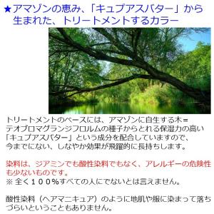 エルコス キュプアス カラーバター 白髪染め ...の詳細画像1