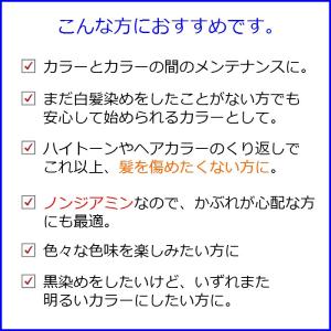 エルコス キュプアス カラーバター 白髪染め ...の詳細画像4