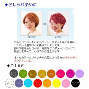エルコス キュプアス カラーバター 白髪染め ...の詳細画像5