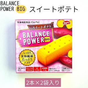 バランスパワービッグ 1箱 メール便 ハマダコ...の詳細画像4