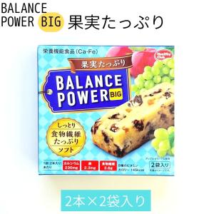 バランスパワービッグ 選べる40箱セット 送料...の詳細画像4