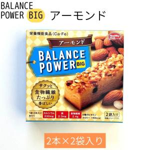 バランスパワービッグ 選べる6箱セット 送料無...の詳細画像2