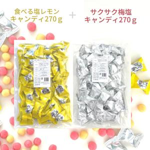 食べる塩レモンキャンディ、サクサク梅塩キャンディ 270ｇ×２袋セット 松屋製菓 熱中症対策 送料無料 メール便
