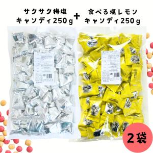 食べる塩レモンキャンディ、サクサク梅塩キャンディ...の商品画像