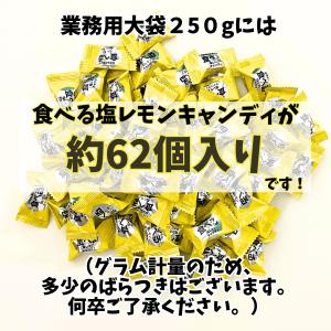 食べる塩レモンキャンディ、サクサク梅塩キャンデ...の詳細画像2
