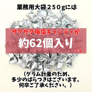 食べる塩レモンキャンディ、サクサク梅塩キャンデ...の詳細画像3