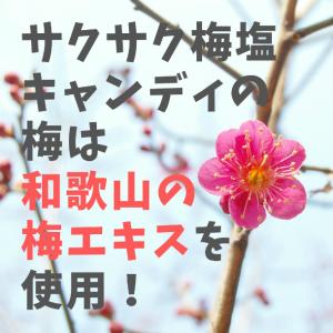 食べる塩レモンキャンディ、サクサク梅塩キャンデ...の詳細画像5
