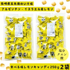 食べる塩レモンキャンディ270ｇ×2袋 松屋製菓 塩分補給 熱中症対策 送料無料 メール便