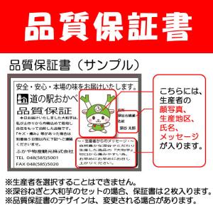 【冬ギフト】深谷ねぎ 10Kg 【送料込み 贈...の詳細画像4