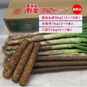【冬ギフト】野菜3品5kgセット 【深谷ねぎ3K...の商品画像