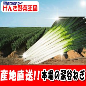 【冬ギフト】野菜3品5kgセット 【深谷ねぎ3...の詳細画像1
