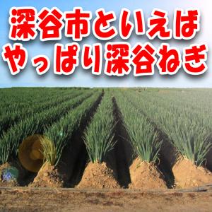 【冬ギフト】野菜3品5kgセット 【深谷ねぎ3...の詳細画像2