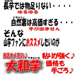 【冬ギフト】野菜3品5kgセット 【深谷ねぎ3...の詳細画像3