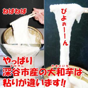 【冬ギフト】野菜3品5kgセット 【深谷ねぎ3...の詳細画像5