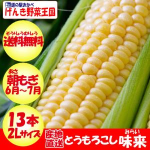 【先行予約開始】味来（みらい）A品 2Lサイズ 13本 約4kg【産地直送 朝もぎのとうもろこし 6月〜7月 同梱不可 送料無料 クール宅急便】