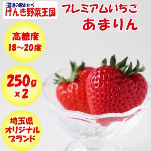 【予約販売】あまりん 高級いちご 彩のあまりん 2パック（約250g x 2）【送料別1月〜2月 生産者：久米原農園（埼玉県本庄市）化粧箱】