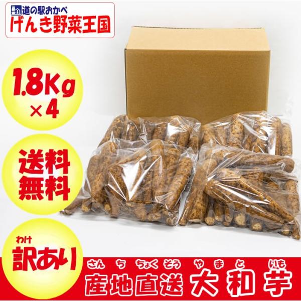 ヤマトイモ 7.2Kg B品 訳あり【送料無料】【山芋】