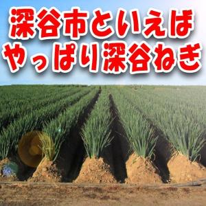 ねぎみそせんべい21枚入 深谷ねぎ使用 ギフト...の詳細画像1