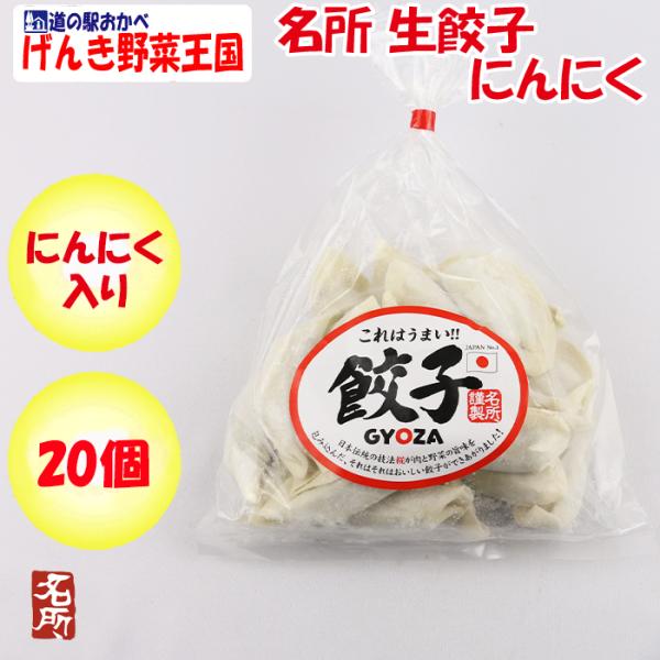 名所 生餃子(にんにく)20個入【埼玉県深谷市 冷凍品 送料別 クール便】【NS】