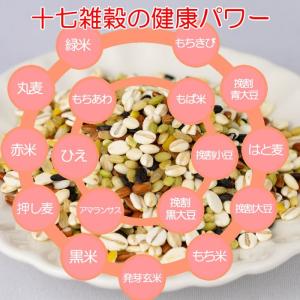 発芽玄米入り 国産十七雑穀 270g マツモト...の詳細画像2
