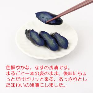 浅漬長なす 2本 宮川食品【埼玉県深谷市 冷蔵...の詳細画像1