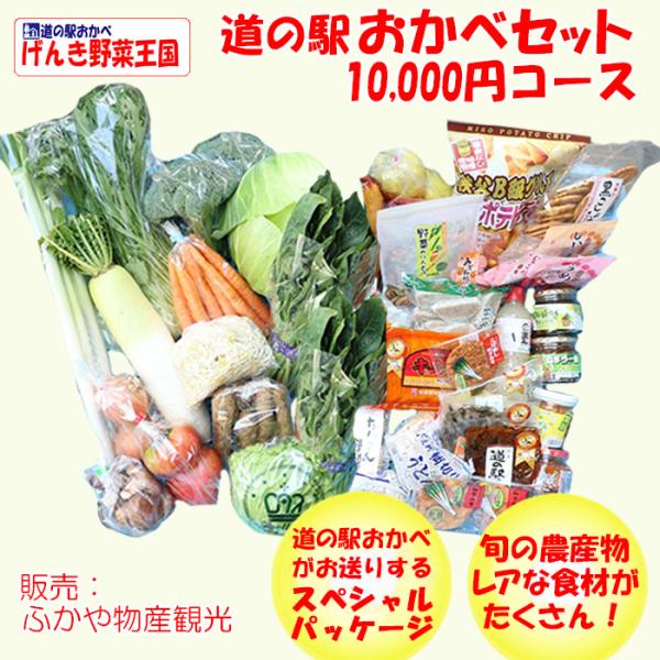 道の駅おかべセット 10,000円コース【 送料込 クール宅急便】【BS】