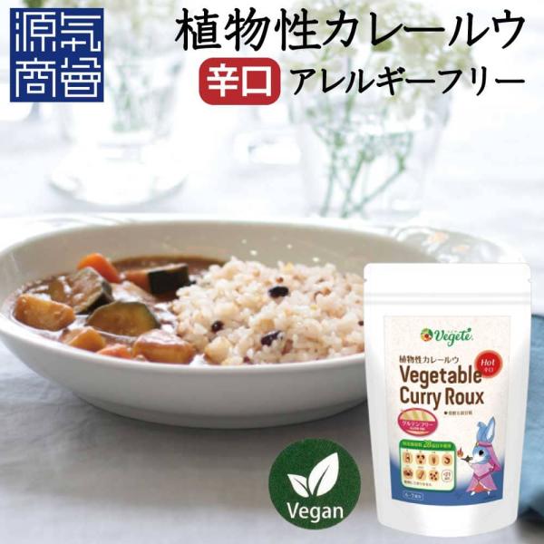 植物性 カレールー 「 ベジテ ( Vegete ) 」辛口 spicy 140g