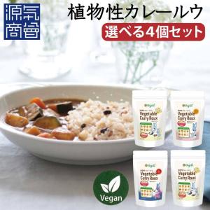 無添加 カレー カレールー ベジテ Vegete 甘口 中辛