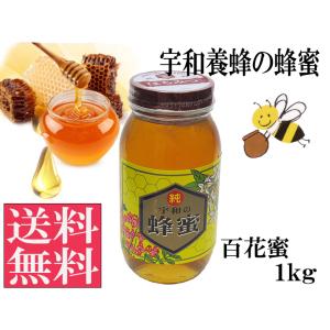 百花蜜1kg 国産 はちみつ 純粋 非加熱 生はちみつ  宇和養蜂