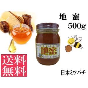 地蜜(日本ミツバチ)500g 国産 はちみつ 純粋 非加熱 生はちみつ 送料無料 宇和養蜂