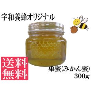 巣みつ(みかん)300g 「コムハニー」国産 はちみつ 純粋 非加熱 生はちみつ 送料無料 宇和養蜂