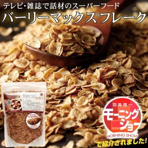 スーパー大麦 バーリーマックス200g 送料無料 テレビで話題のスーパーフード ダイエットにおすすめ！オートミール シリアル フレーク