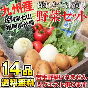 九州野菜セット 新鮮やさい詰め合せ14品 (クール便送料無料...