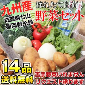 九州野菜セット 新鮮やさい詰め合せ14品 （送料無料）佐賀県七山村＆福岡県糸島産限定！