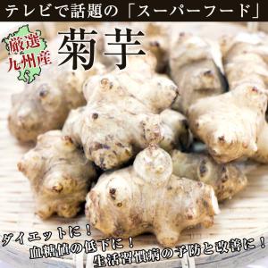 菊芋1kg 生きくいも キクイモ 佐賀県産　九州産 産地直送野菜