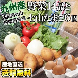 九州新鮮やさい詰め合せ14品と七山たまご6個セット （送料無料）