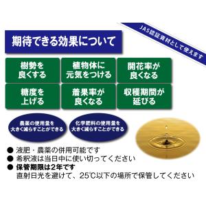 玄米アミノ酸酵素液 1Lの詳細画像2