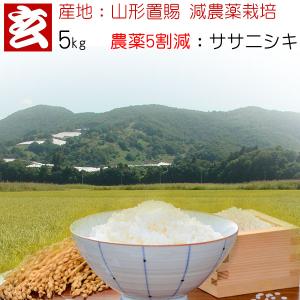 【令和7年産完売しました】新米　米 5kg 送料無料 精米選択可能 農薬5割減 減農薬 ササニシキ玄米 産年：令和7年 産地：山形県置賜産 生産者：小林 亮氏