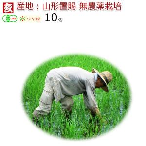 新米 米 無農薬玄米 10kg 送料無料 JAS有機認証 山形県産 無農薬つや姫  産年：令和7年 生産者：小林亮 ※精米選択可　※精米選択可